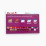 Camel Artist Oil Pastels 25 Shades - Image 2
