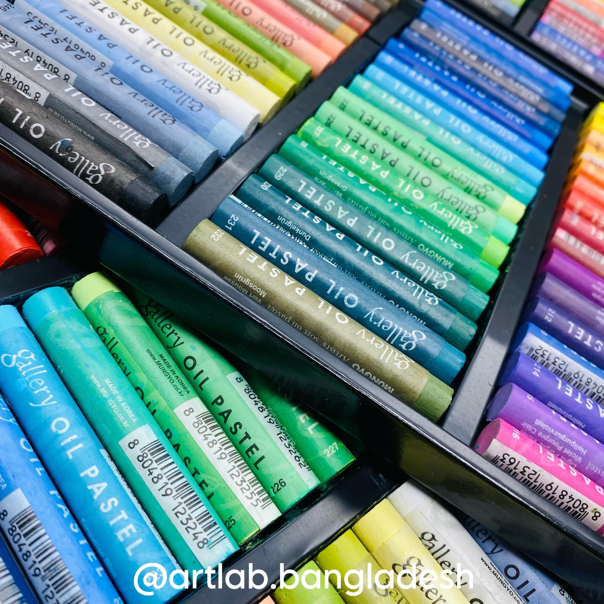 Mungyo Gallery Soft Oil Pastels (Professional) - 48 Colours - Art