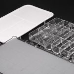 Airtight Paint Palette - 24 Grid - Image 3