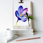KALOUR Colorless Blender and Burnisher Pencils Set - Image 4
