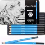 KALOUR Professional Sketching Drawing Pencils Set of 12 Tin Box
