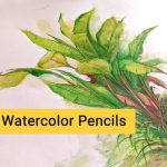 BRUSTRO Artists Watercolour Pencil |Set of 24 (in Elegant tin Box - Image 5