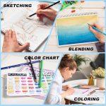 Kalour Premium Colour Pencils 50pc - Image 5