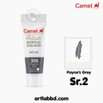 Camel Artist Acrylic 40ml - Payne's Grey